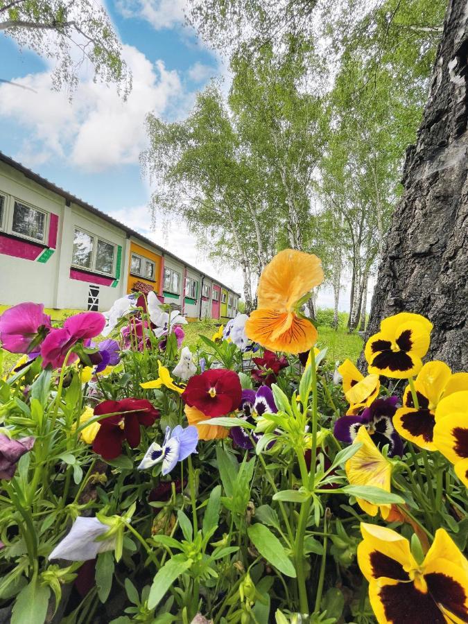 Koza I Brzoza, Domki Z Kontenerow Piechowice  Eksteriør bilde