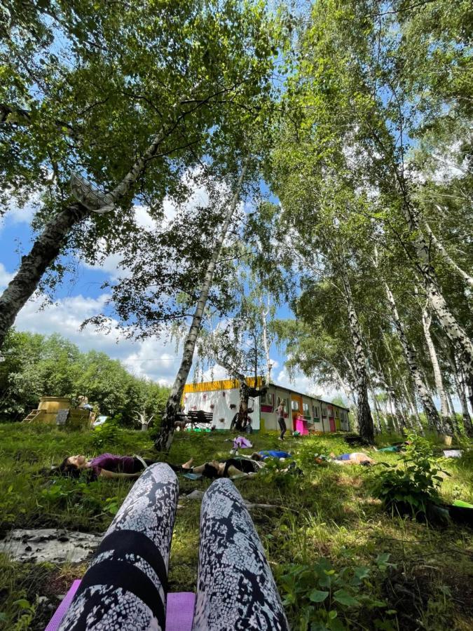 Koza I Brzoza, Domki Z Kontenerow Piechowice  Eksteriør bilde